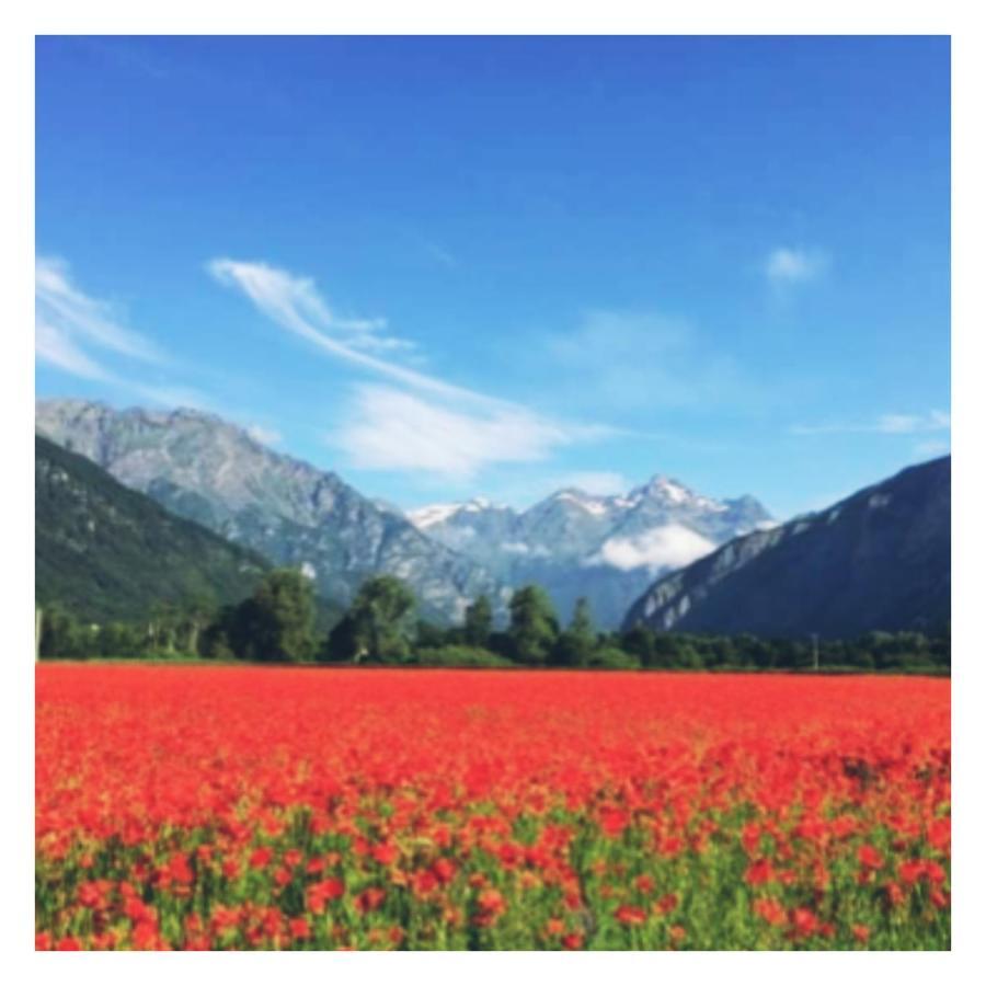 L'Emeraude Lägenhet Le Bourg-dʼOisans Exteriör bild